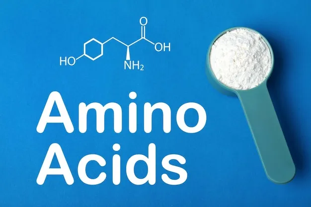 Amino Acids.webp
